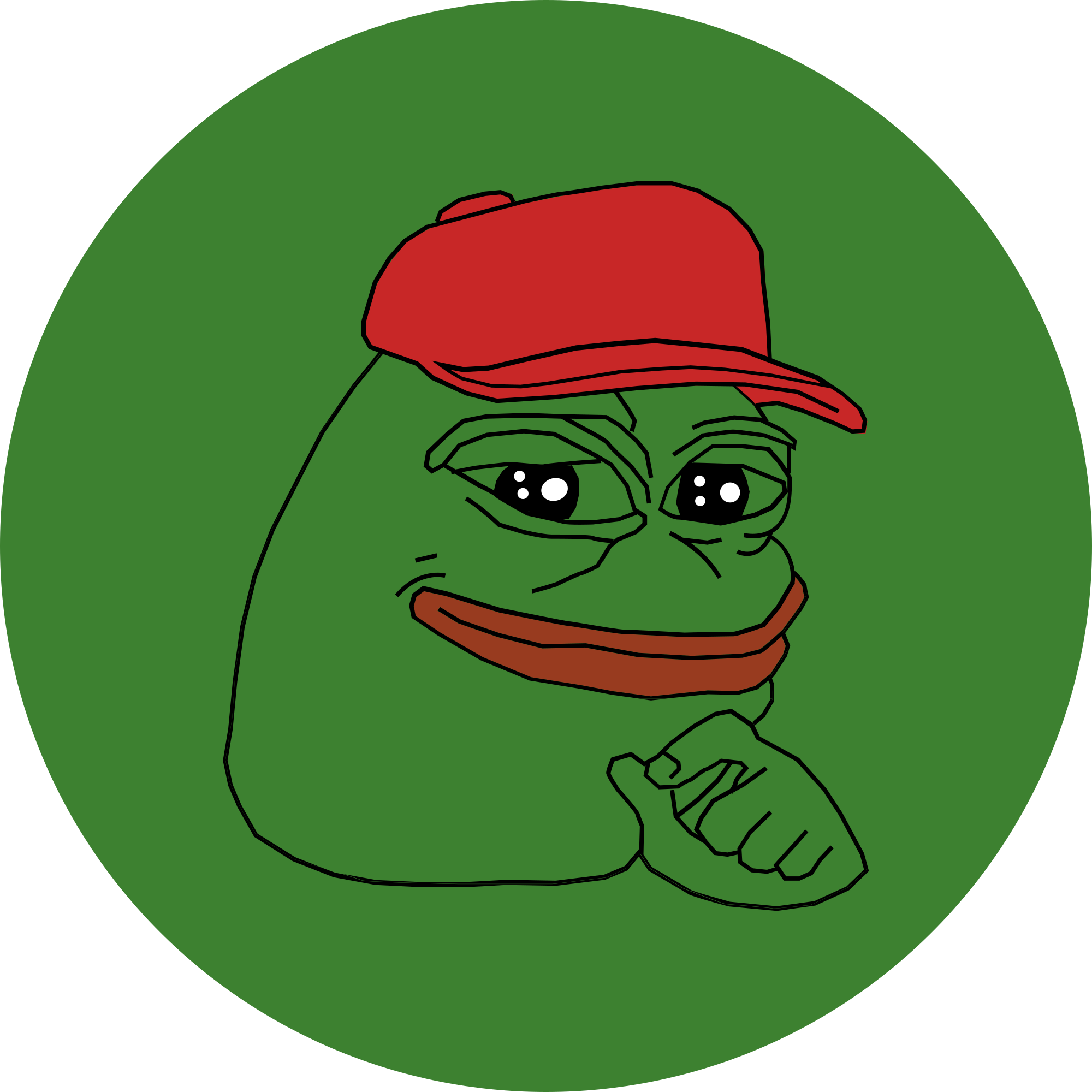 Pepe (PEPE) : top meme coin